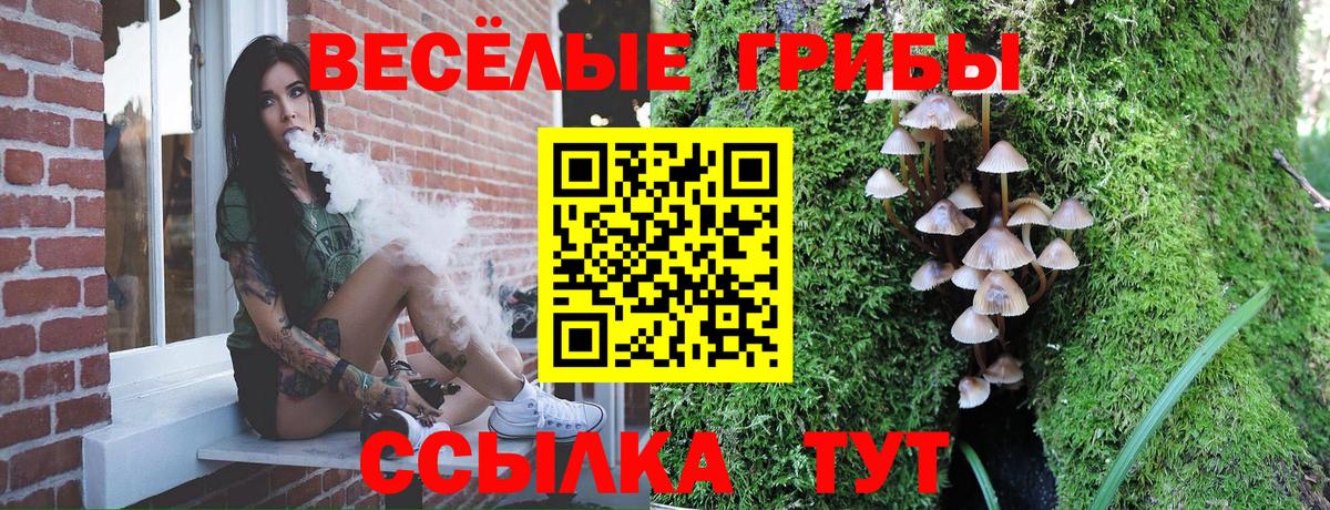 Галлюциногенные грибы прущие грибы Бугульма