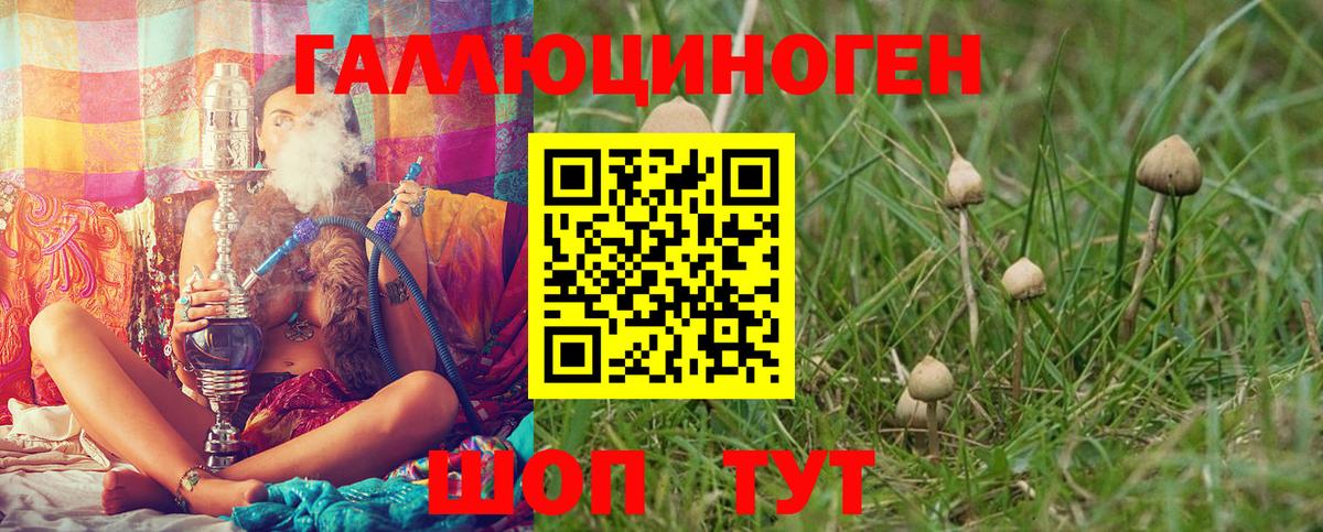 Галлюциногенные грибы MAGIC MUSHROOMS  Вход с VPN  Бугульма 